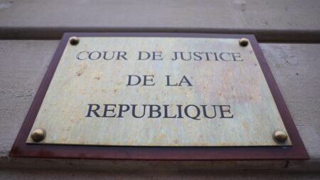 Écologistes cherchent majorité présidentielle pour supprimer Cour de Justice de la République Proposition de loi pour supprimer la Cour de justice de la République : les écologistes ont besoin de la majorité présidentielle
Les écologistes veulent la suppression de la Cour de Justice de la République, mais le calendrier n'est pas idéal car leur motion de rejet sur le projet de loi immigration complique les relations avec la majorité.