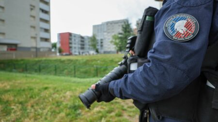 Drôme : sept personnes en garde à vue dans un nouveau coup de filet à Valence, pour lutter contre les trafics de stupéfiants et les affrontements entre bandes
          A Valence, dans la Drôme, sept personnes ont été placées en garde à vue lundi, après une vaste opération dans le cadre d'enquêtes menées pour lutter contre les trafics de stupéfiants.