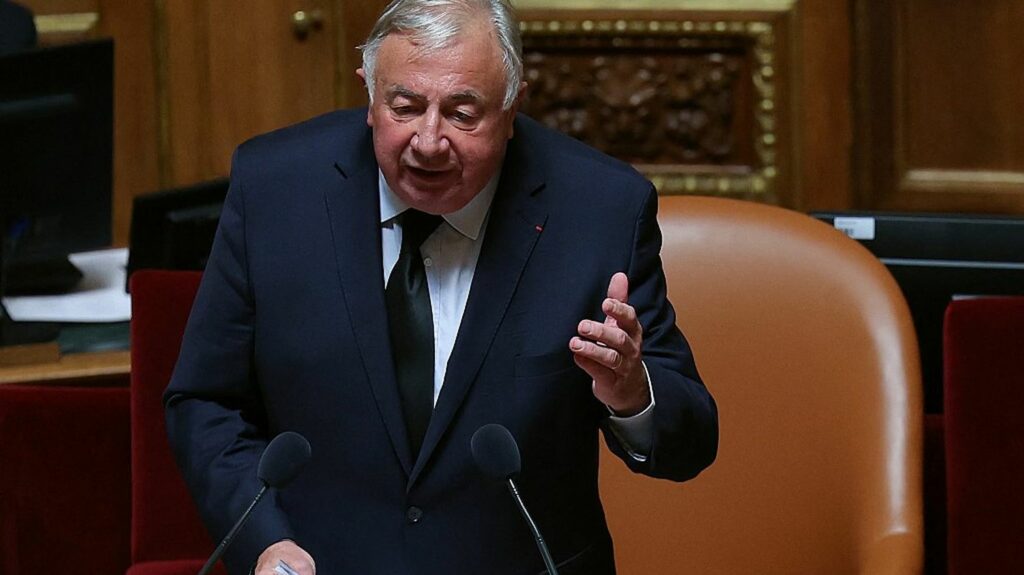 Le président du Sénat Gérard Larcher adresse un "Ferme ta gueule" à Jean-Luc Mélenchon après ses propos contre la journaliste Ruth Elkrief
          L'élu Les Républicains, qui s'exprimait sur RTL, accuse le leader de La France insoumise de "créer un brasier" avec des propos "irresponsables".