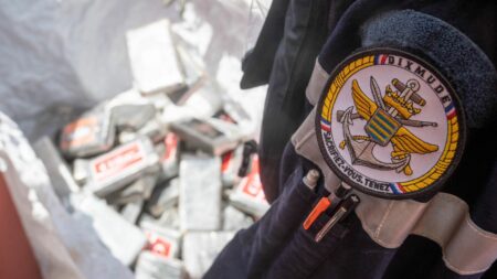 Plus de cinq tonnes de cocaïne saisies par la marine nationale française dans le golfe de Guinée
          Plusieurs personnes ont été interpellées au cours de cette opération menée la semaine passée. La drogue saisie par les marins a été transbordée sur le bâtiment de la marine aux larges des côtes africaines.