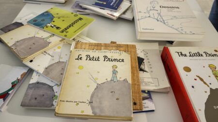 La genèse du "Petit Prince" d'Antoine de Saint-Exupéry racontée dans un documentaire animé sur Arte
          Sorti en 1943 aux Etats-Unis, "Le Petit Prince" n'a été publié en France qu'en 1946 (à titre posthume) et s'est vendu depuis à plus de 200 millions d'exemplaires. C'est l'un des livres les plus traduits au monde.
