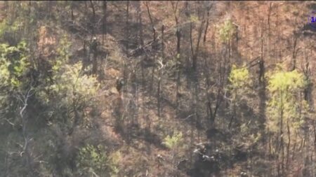 Guerre en Ukraine : pourquoi Moscou cherche à recruter en Asie centrale
          Pour renforcer ses troupes, Moscou met la pression sur les travailleurs étrangers venus d'Asie centrale.