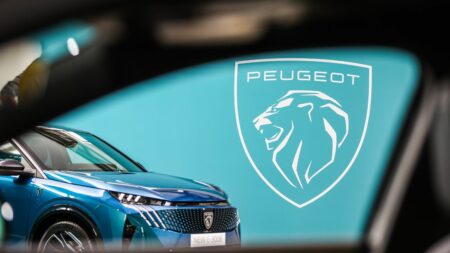 Automobile : Peugeot ambitionne d'être "leader de l'électrique en 2025"
          Emmanuel Macron vient de lancer le dispositif du leasing social, qui doit permettre à des foyers modestes d'acquérir des voitures électriques, à partir de 100 euros par mois.