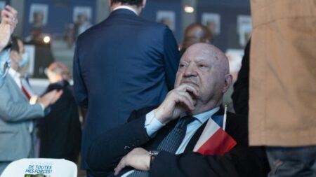 Qualifiée de "pin-up" par André Santini, une élue écologiste porte plainte pour "outrage sexiste" contre le maire d'Issy-les-Moulineaux
          Le parti Les Ecologistes a apporté son soutien à Dina Deffairi Saissac, conseillère municipale de Saint-Ouen, après son dépôt de plainte contre l'ancien patron de l'UDI.