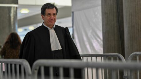 Procès de Monique Olivier : "Elle n'a pas tout dit, et nous ne le saurons peut-être jamais", regrette l'avocat du père d'Estelle Mouzin
          Questionnée jeudi sur l'enlèvement et le meurtre d'Estelle Mouzin, Monique Olivier n'a pas fait de révélations devant la cour d'assises des Hauts-de-Seine, à Nanterre. Le corps de la petite fille reste introuvable depuis sa disparition, alors qu'elle n'avait que 9 ans, en 2003.
