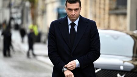 Elections européennes 2024 : en hausse, le Rassemblement national est en tête des intentions de vote, selon un sondage
          A la deuxième place, la liste Renaissance affiche 20% d'intentions de vote, selon cette étude d'opinion publiée par "Le Monde".