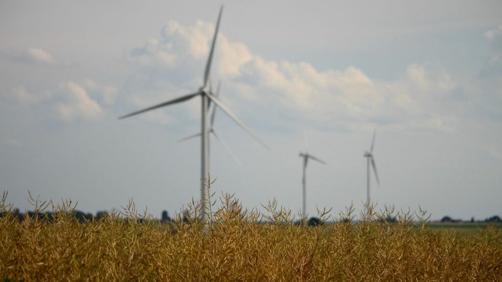 Vrai ou faux



  

  
  

      

  

  
    Les éoliennes étaient-elles à l'arrêt pendant les tempêtes, comme l'affirme un député RN ?
          Le député Rassemblement national Daniel Grenon met en cause l'utilité des éoliennes et en veut pour preuve leur mise à l'arrêt pendant les récentes tempêtes. Sauf que les éoliennes ont, en réalité, connu des pics de production à ces dates-là.