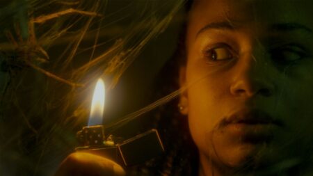 Cinéma : "Vermines" ou quand des araignées envahissent une cité HLM
          Ce film d'horreur "made in France" réalisé par Sébastien Vanicek a été pensé comme un long-métrage qui fasse "frissonner et rire."