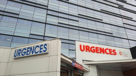 Santé : 32 milliards pour l'hôpital public, "ça semble colossal sur le papier, c'est une bonne nouvelle", réagit le vice-président du SAMU Urgences de France
          Gabriel Attal, en visite samedi au CHU de Dijon, a promis "32 milliards d'euros supplémentaires" pour le système de santé dans les cinq ans à venir, évoquant un "investissement massif" pour l'hôpital public, qualifié de "trésor national".