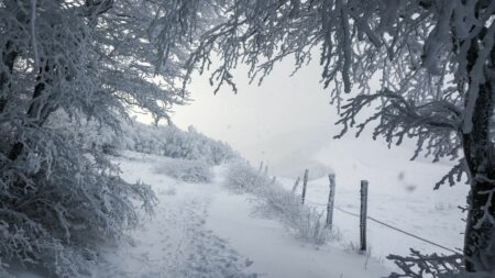PODCAST. Grand froid, remaniement gouvernemental et un succès français à Hollywood : ça dit quoi ce 8 janvier ?
          Ce lundi 8 janvier 2024, la rentrée scolaire est marquée par un épisode de froid venu de Sibérie et qui va durer toute la semaine, le remaniement gouvernemental n'a toujours pas eu lieu et le film de Justine Triet "Anatomie d'une chute" a décroché deux Golden Globes.