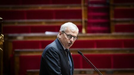 "Tu seras tondue à la Libération" : accusé de s'en être pris à la cheffe des écologistes à l'Assemblée, le député Renaissance Jean-René Cazeneuve ne sera pas sanctionné
          Le bureau de l'Assemblée nationale a décidé mercredi de ne pas prononcer de sanction à l'égard du rapporteur général du Budget.