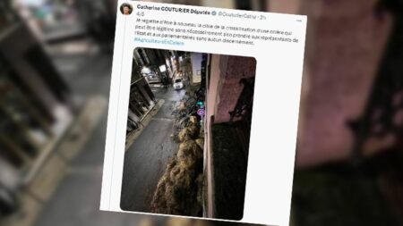 Des agriculteurs ont déversé du fumier devant la permanence de la députée insoumise Catherine Couturier à Guéret
          "Je regrette d'être à nouveau la cible de la cristallisation d'une colère qui peut être légitime sans nécessairement s'en prendre aux représentants de l'Etat et aux parlementaires sans aucun discernement", a déploré l'élue insoumise.