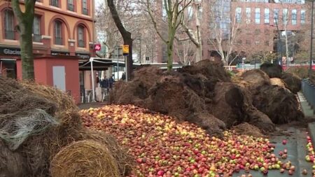 Manifestations des agriculteurs : vers un mouvement des gilets verts ?
          Les agriculteurs poursuivent leur mouvement de contestation pour le troisième jour de suite. Samedi 20 janvier, des centaines de manifestants se sont réunis pour bloquer l’autoroute A64 au sud de Toulouse (Haute-Garonne). Ils dénoncent la chute de leurs revenus et la concurrence déloyale.