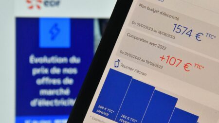 Prix de l'électricité : de combien votre facture va-t-elle augmenter à partir du 1er février ?
          La fin progressive du bouclier tarifaire se poursuit. Dimanche, le ministre de l'Economie, Bruno Le Maire, a annoncé une nouvelle hausse des tarifs de l'électricité de 8,6% à 9,8% au 1er février.