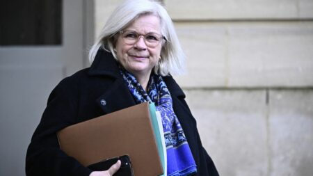 Catherine Vautrin reçoit Patrick Stefanini et Claude Évin pour parler aide médicale d'État
          Le gouvernement attend la décision du Conseil constitutionnel sur la loi immigration jeudi. En parallèle, il planche déjà sur le sujet sensible de l'aide médicale d'État.