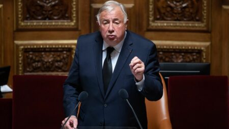 ÉDITO. Opposition à la constitutionnalisation de l’IVG : pourquoi la droite adopte cette position ?
          Le Parlement débat, mercredi et jeudi, de l’inscription de l’interruption volontaire de grossesse dans la Constitution et Gérard Larcher, le président du Sénat (LR), a clairement affiché son hostilité. Un calcul politique qui n'est pas sans risque pour la droite.