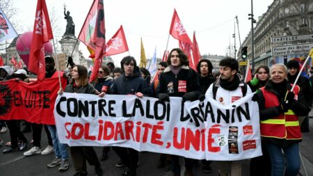 Des milliers manifestent à Paris contre la loi immigration, revendiquant des droits égaux "Quand on partage un territoire, on partage les mêmes droits" : des milliers de personnes rassemblées à Paris pour manifester contre la loi immigration
Des milliers de personnes ont manifesté dimanche en France pour demander le "retrait total" de la loi immigration adoptée le 19 décembre. À Paris, le cortège s'est élancé de la place de la République.