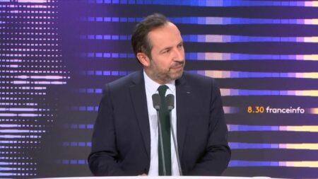 Gabriel Attal est "sous une double tutelle" du "président de la République et de Nicolas Sarkozy", tacle le RN Sébastien Chenu
          L'ancien président de la République a "placé ses affidés" dans le nouveau gouvernement, observe le vice-président du Rassemblement national.