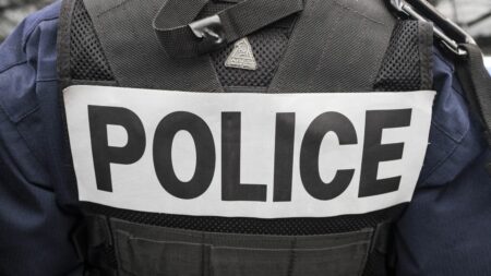 Paris : une enquête ouverte après la plainte pour violences policières d'une gérante de société d'origine chinoise
          L'enquête a été confiée à l'Inspection générale de la police nationale, a annoncé le parquet de Paris.