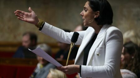 Conférence de presse d'Emmanuel Macron : Laure Lavalette attend "des annonces" de la part du président
          Baisse de la TVA, référendum sur l'immigration, soutien aux agriculteurs... autant de sujets sur lesquels la porte-parole du groupe RN à l'Assemblée nationale aimerait entendre de la part du chef de l'État mardi.
