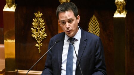 Loi immigration : "Le gouvernement a menti aux Français en leur faisant croire qu'il les entendait sur le sujet", dénonce le député RN Yoann Gillet
          Le Conseil constitutionnel a censuré très largement la loi immigration, dont de nombreuses mesures de durcissement adoptées en décembre.