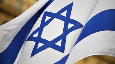 Guerre Israël-Hamas : que dit la loi sur l'affichage du drapeau israélien sur les mairies en France ?
          À Nice, un recours a été déposé par une association qui souhaite faire enlever le drapeau d'Israël du fronton de la mairie. Christian Estrosi, lui, refuse. Mais que dit la loi ?