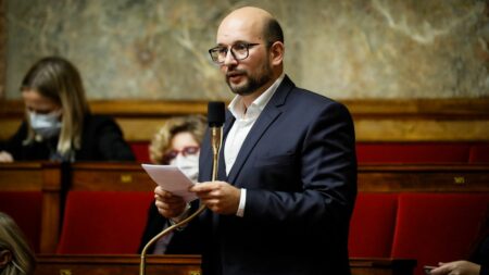 Loi immigration : Lionel Mendes, rapporteur du texte et député Renaissance, se dit plus satisfait de la version censurée par le Conseil constitutionnel
          Le Conseil constitutionnel a censuré, jeudi, partiellement ou totalement, 35 des 86 articles du projet de loi de l'immigration soumis aux Sages.