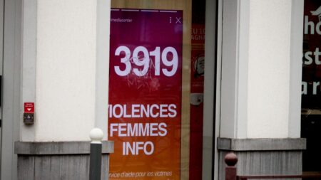 "C'est une politique prioritaire" : des pôles spécialisés dans les violences intrafamiliales mis en place dans tous les tribunaux
          Les pôles dédiés aux violences intrafamiliales sont généralisés à tous les tribunaux et cours d'appel à partir de lundi. Ils doivent permettre "le partage d'informations" entre les magistrats concernés par une même situation familiale.