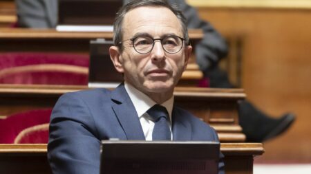 Gabriel Attal nommé Premier ministre : les sénateurs LR ont l'intention de contrôler davantage l'action du gouvernement
          Alors que le nouveau Premier ministre est en train de travailler sur sa future équipe, la droite sénatoriale prévient qu'elle sera intransigeante à l'égard du prochain gouvernement et compte intensifier les contrôles de la politique gouvernementale.