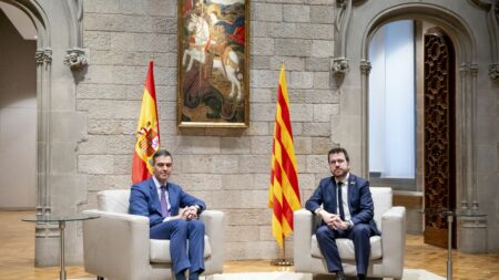 Espagne : la loi d'amnistie promise aux séparatistes catalans est examinée par les députés
          C'est un projet de loi ultrasensible, qui est arrivé, mardi, au Parlement espagnol. Il prévoit d'effacer les condamnations qui ont frappé des militants indépendantistes de Catalogne. Et les débats sont extrêmement houleux.