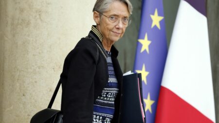 "Une Première ministre remarquable", "elle a fait le job",  "un bilan très mauvais"... Les réactions à la démission d'Élisabeth Borne
          Élisabeth Borne a présenté lundi sa démission à Emmanuel Macron, qui l'a acceptée. Les réactions n'ont pas tardé, de la majorité aux oppositions.