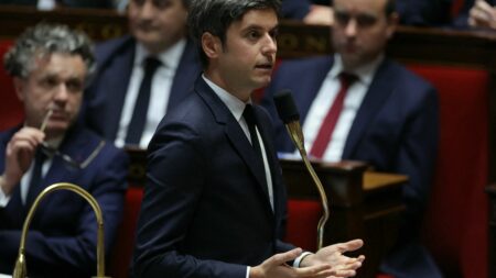 Réforme de l'aide médicale d'Etat : "Cet engagement sera tenu", promet Gabriel Attal devant les députés
          Pour la première fois depuis sa nomination, le nouveau Premier ministre s'est exprimé à l'Assemblée nationale, mardi, à l'occasion de la séance de questions au gouvernement.