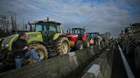 "Le meilleur moyen de calmer le jeu est de ne pas aller à l'affrontement" : face à la colère des agriculteurs, quelle est la stratégie du gouvernement ?
          GNR, simplification des normes... Si les syndicats d'agriculteurs ont déjà dressé une liste de revendications au gouvernement, ce dernier tente de trouver une sortie de crise rapide et "sans tabou".