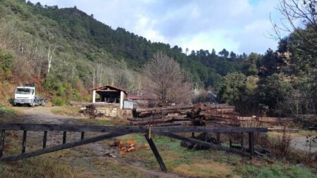 Tuerie dans une scierie des Cévennes : Valentin Marcone condamné à 30 ans de réclusion, avec une période de sûreté de 15 ans
          Après avoir tué son patron et un collègue, Valentin Marcone s'était caché pendant trois jours dans un trou à sangliers, au cœur des Cévennes, avant de se rendre.