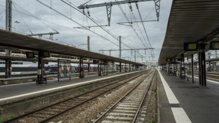 SNCF Réseau condamné à une amende de 225 000 euros pour homicide involontaire après la mort d'un cheminot percuté par un train
          Un agent de maintenance a été mortellement percuté par un train lors d'une intervention en 2016, alors que la visibilité était très mauvaise.