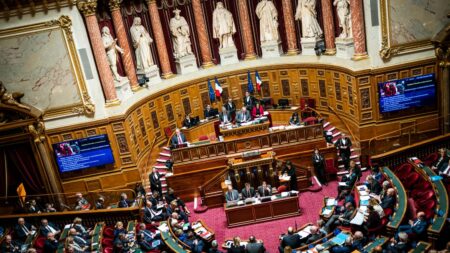 Affaire de la ‘sextape’ au Sénat: Justice saisie, médecin menacé de licenciement, allégation de ‘cabale’ On vous explique l'affaire de la "sextape" qui agite le Sénat, dans laquelle la justice a été saisie
Le médecin de l'institution, sur le point d'être licencié, se dit victime d'une "cabale" orchestrée par une assistante qu'il avait dénoncée, car elle se vantait de détenir une vidéo intime impliquant un sénateur.