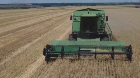 Agriculteurs en colère: Gouvernement annonce plus d’aides, contrôles accrus en magasin Colère des agriculteurs : aides, contrôles… Les annonces du gouvernement
Après deux semaines de colère des agriculteurs, le gouvernement a fait des annonces, jeudi 1er février. Elles impliquent davantage de contrôles en magasin.