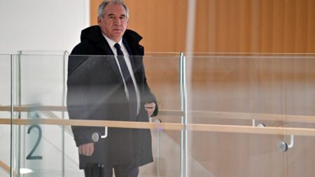 Le parquet fait appel de la relaxe de François Bayrou dans l'affaire des assistants parlementaires européens du MoDem
          En première instance, le maire de Pau n'a pas été condamné, faute de preuves.
