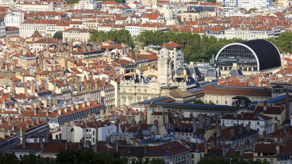 Lyon : deux jeunes hommes, dont un militant d'extrême droite, condamnés pour une agression raciste
          "C'est le procès d'individus violents animés par une idéologie raciste", a lancé le procureur Olivier Rabot.
