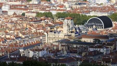 Lyon : deux jeunes hommes, dont un militant d'extrême droite, condamnés pour une agression raciste
          "C'est le procès d'individus violents animés par une idéologie raciste", a lancé le procureur Olivier Rabot.