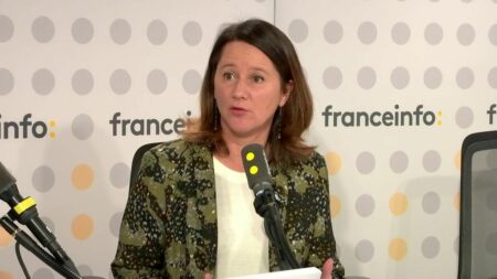 Congé maternité des maires : "La loi n'a pas été pensée pour l'exercice des responsabilités par les femmes", pointe la présidente de France urbaine Johanna Rolland
          "On a là une situation d'inégalité totale entre les hommes et les femmes", a souligné Johanna Rolland, dénonçant une situation "archaïque". Selon elle, l'absence de congé maternité pour les élus constitue "un frein à l'engagement politique".