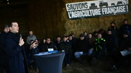 "Les problèmes des agriculteurs, on les connaît" : comment le Rassemblement national a capitalisé sur la crise agricole
          Le parti d'extrême droite s'est montré au chevet des agriculteurs qui ont exprimé leur colère ces deux dernières semaines.