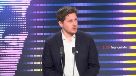 Mesures prises en faveur des agriculteurs : "C'est l'écologie qui prend la balle perdue", dénonce le député écologiste Julien Bayou
          Julien Bayou regrette notamment la décision du gouvernement de mettre le plan Ecophyto en pause.