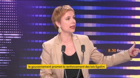"La macronie devient un agent des intérêts privés et un destructeur de l'esprit public", fustige la députée LFI Clémentine Autain
          La députée LFI plaide pour un "équivalent du plan Marshall pour remettre debout l'Education Nationale, nos hôpitaux et nos transports".