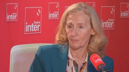 Éducation : "Il faut apaiser et réformer", soutient la nouvelle ministre Nicole Belloubet
          Nicole Belloubet a entamé une série de rencontres avec les syndicats enseignants. "Je veux réengager un dialogue", assure-t-elle.