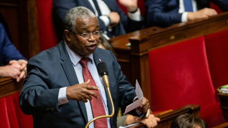 Fin du droit du sol à Mayotte : "Il s'agit d'une mesure nécessaire à la survie de Mayotte", se réjouit le député LR de l'île, Mansour Kamardine
          À son arrivée sur l'île dimanche matin, le ministre de l'Intérieur Gérald Darmanin a annoncé que l'exécutif intégrerait à un projet de révision constitutionnelle la fin du droit du sol pour les personnes nées à Mayotte. "Il ne sera plus possible de devenir Français si l'on n’est pas soi-même enfant de parents français".