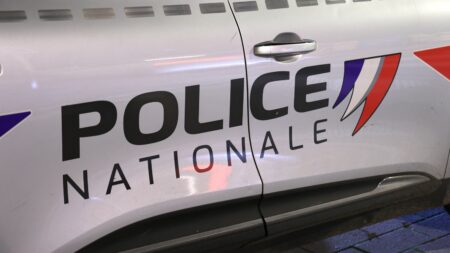 Toulouse : un homme s'évade du commissariat en sautant du deuxième étage et termine à l'hôpital
          En garde à vue pour des soupçons de braquage un homme a tenté de s'évader du commissariat de Toulouse en sautant du deuxième étage. Blessé dans sa chute, il a dû être hospitalisé.