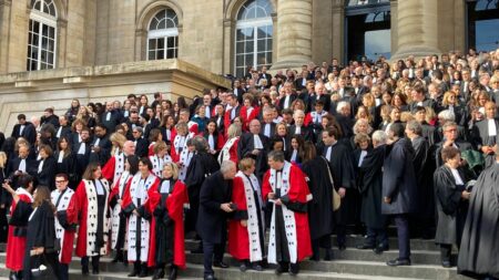 Mort de Robert Badinter : plusieurs centaines d'avocats et de magistrats en robe lui ont rendu hommage au Palais de justice de Paris
          Il fallait "que son barreau soit le premier" à saluer sa mémoire, a déclaré l'avocat pénaliste français et ami de l'ancien garde des Sceaux, Henri Leclerc.