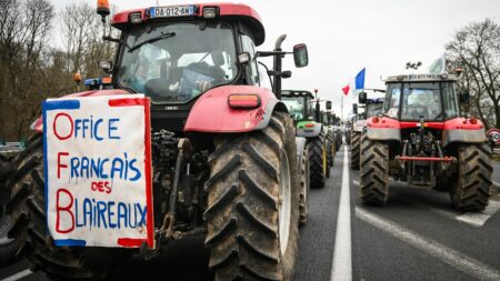 Témoignages



  

  
  

      

  

  
    "On s'est sentis les boucs émissaires du monde agricole" : l'inquiétude grandit au sein de l'Office français de la biodiversité
          L'OFB est dans la tourmente depuis le début de la mobilisation des agriculteurs.