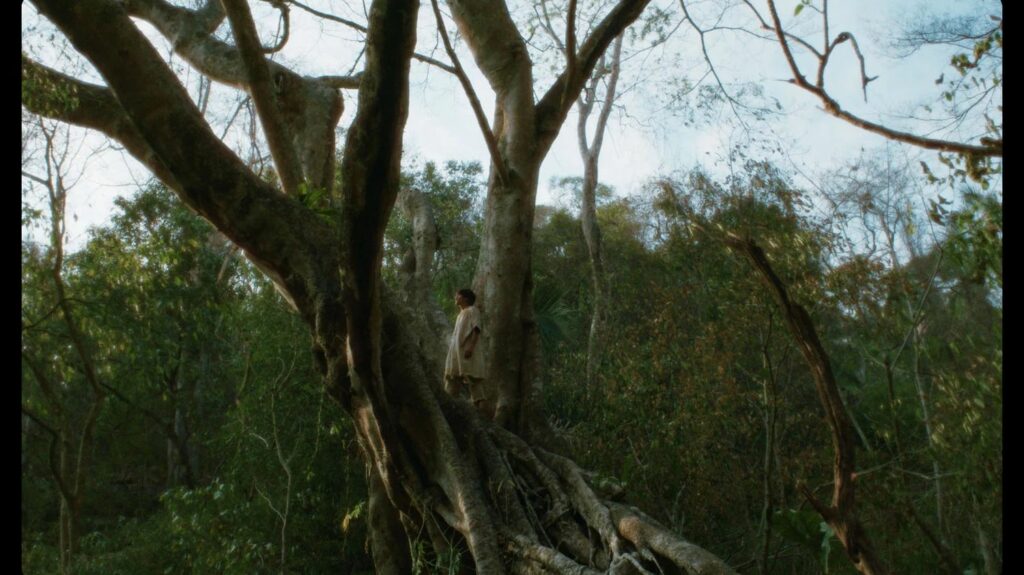 "Eureka", un film chamanique contemplatif sur les ailes du temps
          Lisandro Alonso est un des rares, mais réguliers réalisateurs argentins distribués en France. Son dernier film traite de spiritualité animiste en Amérique du Sud.
